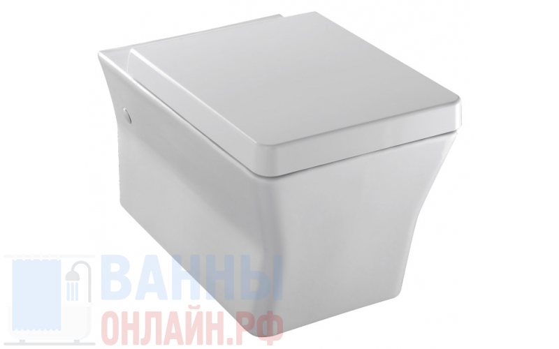 Унитаз Jacob Delafon Reve E4811-00 подвесной с микролифтом
