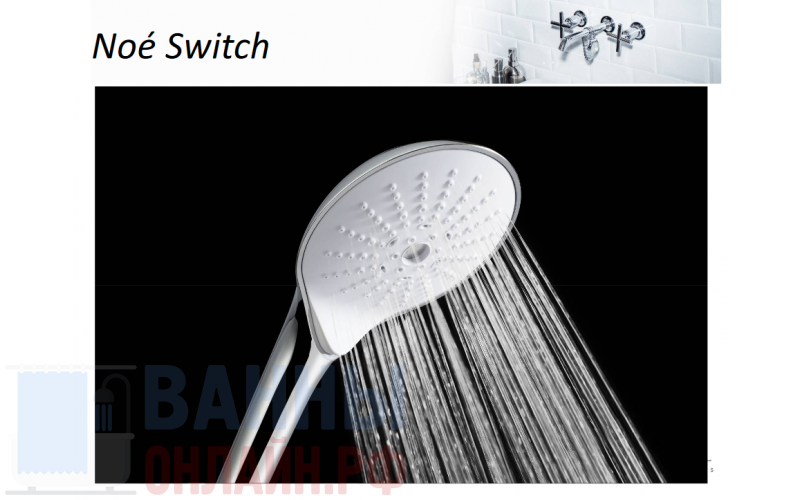 Душевая лейка Jacob Delafon Noe Switch E22269-CP